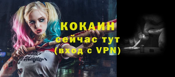 дмт Белокуриха