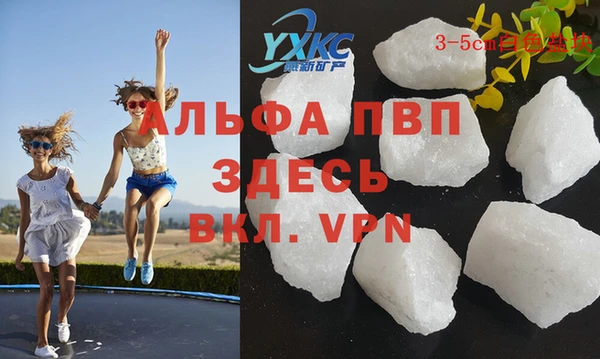 СК Балахна