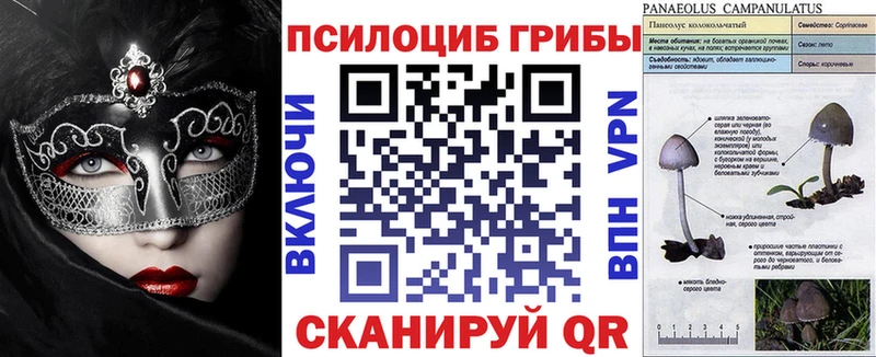 Псилоцибиновые грибы мухоморы  купить наркоту  Кунгур 