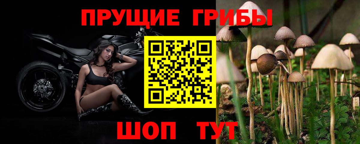 Псилоцибиновые грибы Cubensis  Вход с VPN  даркнет сайт  Кунгур 